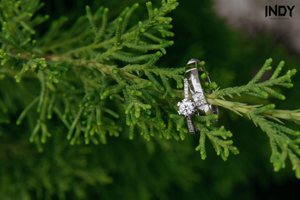 รับถ่ายรูปแต่งงาน 